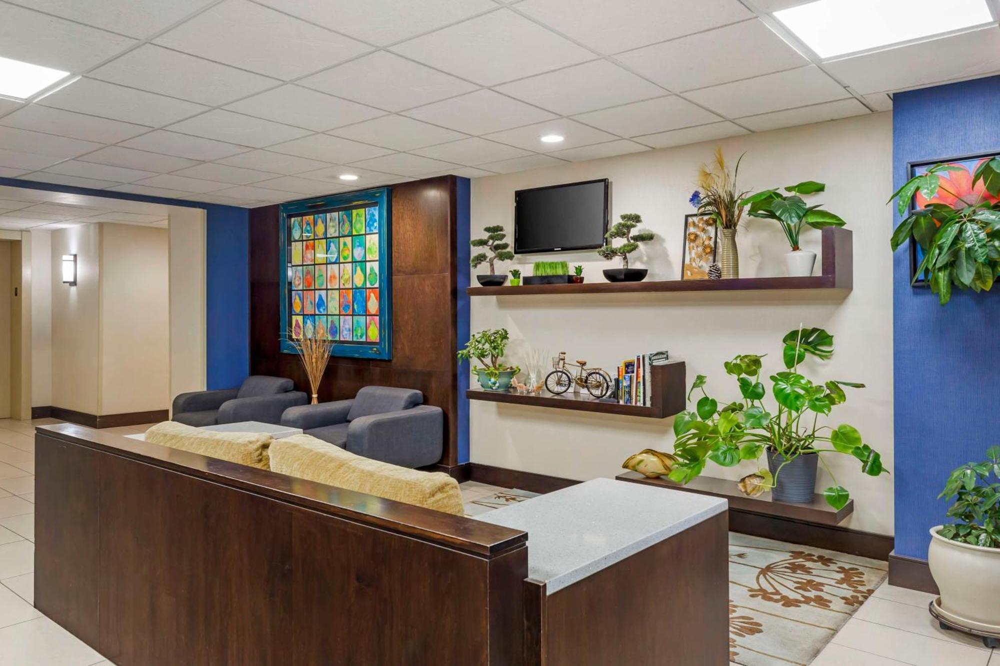 פיטספילד Best Western Plus Berkshire Hills Inn & Suites מראה חיצוני תמונה