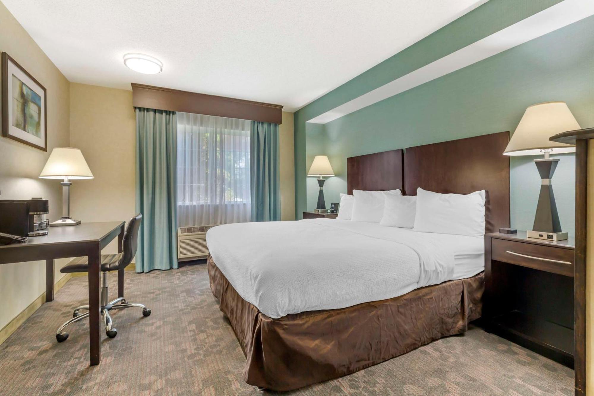 פיטספילד Best Western Plus Berkshire Hills Inn & Suites מראה חיצוני תמונה