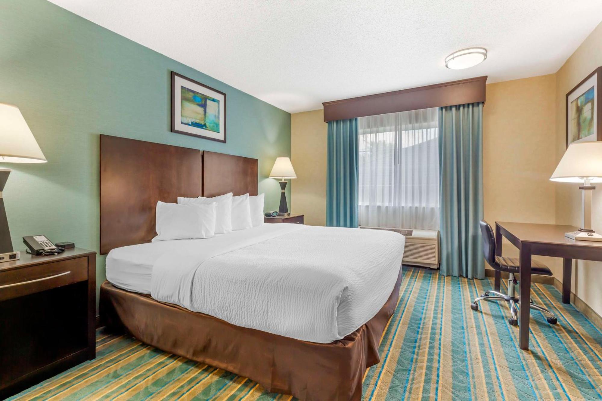 פיטספילד Best Western Plus Berkshire Hills Inn & Suites מראה חיצוני תמונה